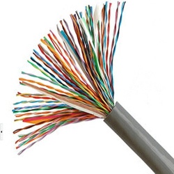 Siemens 100 Pair PVC Telephone Cable