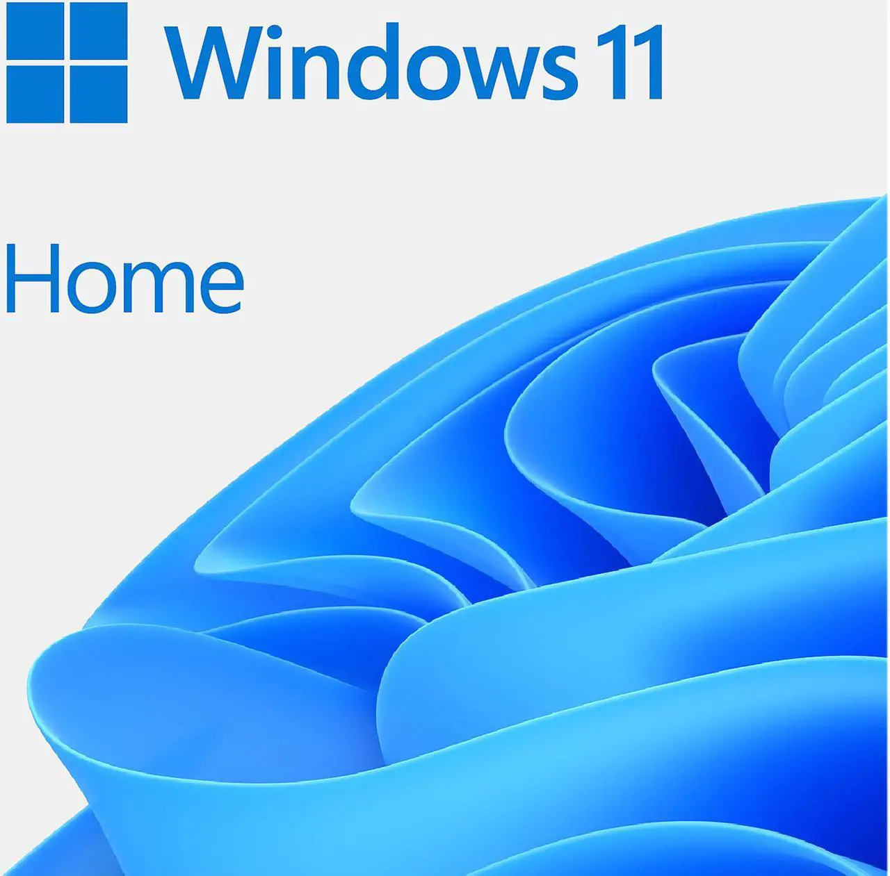 Microsoft Windows 11 Home