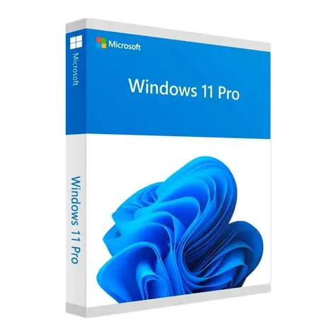 Microsoft Windows 11 Professional