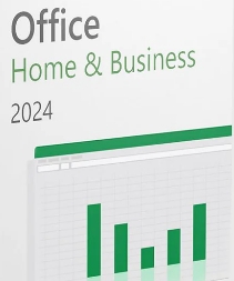 Microsoft Office Home & Business 2024