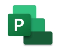 Microsoft Project Professional 2024