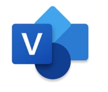 Microsoft Visio Professional 2024